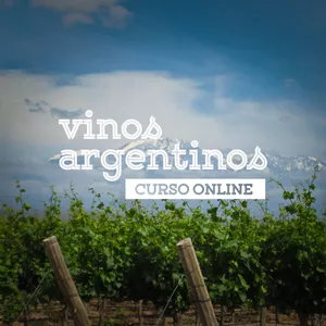 Imagen de portada para Curso online Vinos argentinos. Curso online.