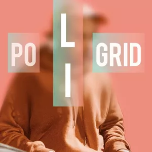 Imagem de capa para o Curso online POLIGRID