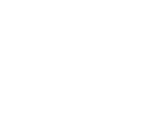 Earnestness logo