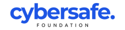 DigiGirls Training Program
