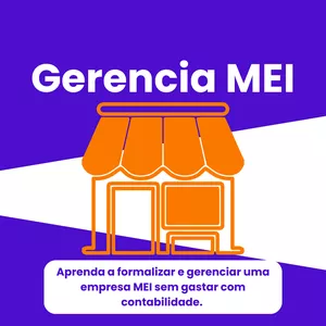 Imagem de capa para o Curso online Gerencia MEI