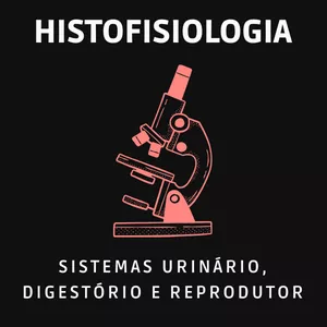 Imagem do curso Histofisiologia dos Sistemas Urinário, Digestório e Reprodutor