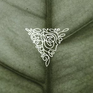 Imagem do curso Formação Flow In