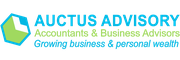 Auctus Advisory