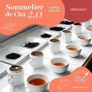 Imagem de capa para o Curso online MÓDULO 1 -  SOMMELIER DE CHÁ 2.0