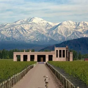 Imagem de capa para o Ebook Anteprojeto de Duas Vinícolas Vertical x Horizontal 