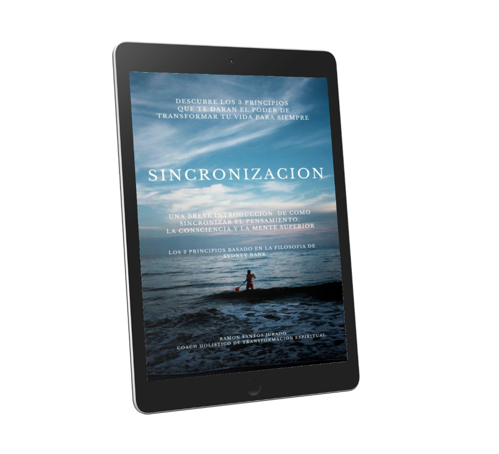 SINCRONIZACION 