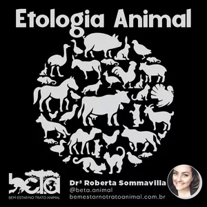 Imagem de capa para o Curso online Etologia Animal
