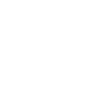 Business Development Institute's School logo