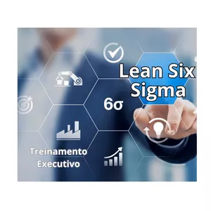 Imagem de capa para o Curso online Treinamento Executivo Lean Six Sigma