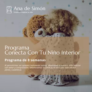 Imagen de portada para Curso online Programa Conecta Con Tu Niño Interio