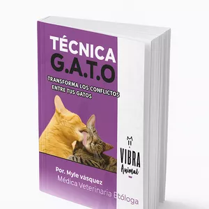 Imagen de portada para Ebook Técnica G.A.T.O