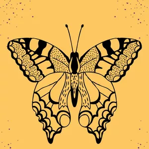 Imagen de portada para Evento presencial METAMORFOSIS