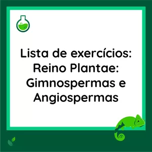 Imagem de capa para o Curso online DISCURSIVA: Reino Plantae_Gimnospermas e Angiospermas