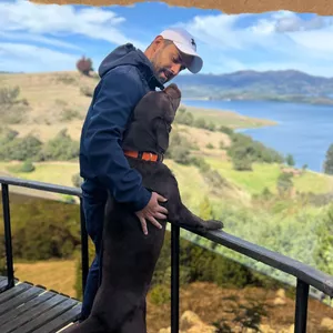 Imagen de portada para Ebook Trucos Sencillos para Perros Complicados