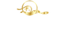 Moonwise Academy