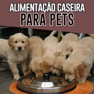 Imagem de capa para o Curso online Alimentos Caseiros Para Animais