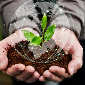 Imagem de capa para o Curso online Agricultura Básica 