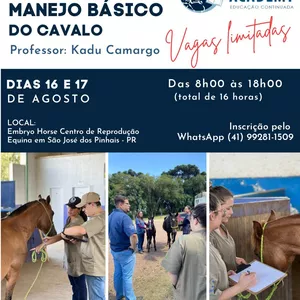 Imagem de capa para o Evento presencial Manejo Básico do Cavalo