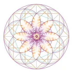 Imagem de capa para o Curso online Método Harmonização Emocional com a Floralterapia: Gota a Gota