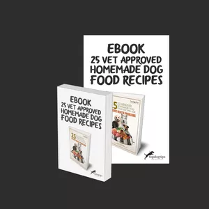 Cover image for Online course Homemade  Dog Food 