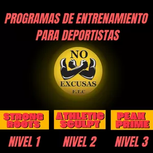 Imagen de portada para Curso online Programa de Entrenamiento Funcional No Excusas