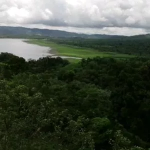 Imagen de portada para Curso online FOTOS DE LA NATURALEZA COSTARRICENSE 