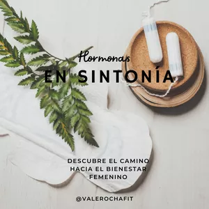 Imagen de portada para Ebook Hormonas en sintonía