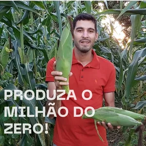 Imagem de capa para o Curso online Produza o MILHÃO do zero!