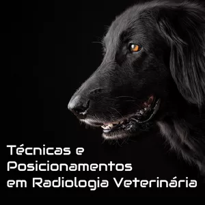 Imagem do curso Técnicas e Posicionamentos em Radiologia Veterinária