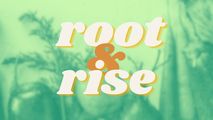 Root & Rise logo