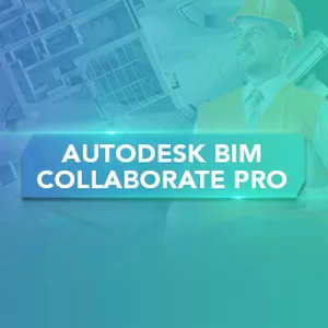 Imagem de capa para o Curso online Autodesk BIM Collaborate Pro