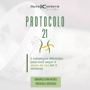Imagem de capa para o Ebook Protocolo 21