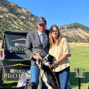 Imagem de capa para o Curso online ABBC TREINAMENTOS 