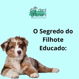 Imagem do curso O Segredo do Filhote Educado