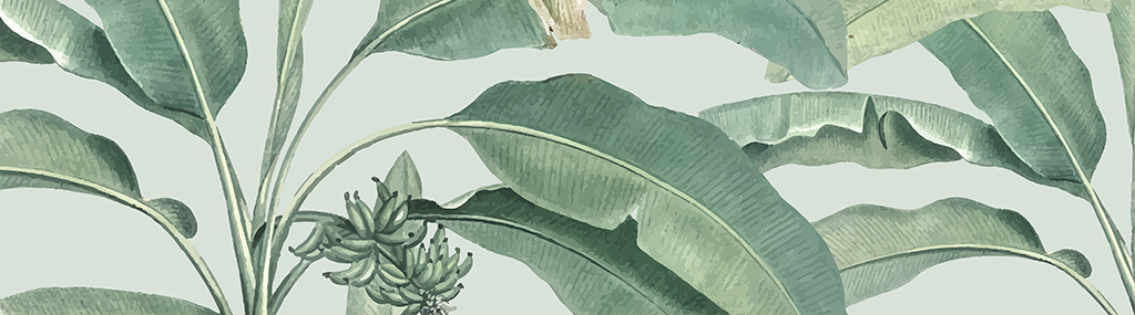 Curso Intensivo de Ilustración Botánica