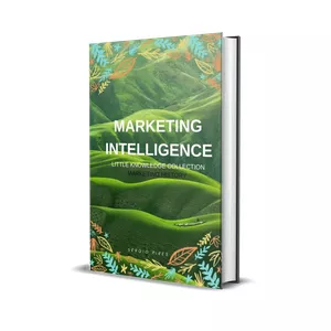 Cover image for Ebook Marketing Digital Intelligence
