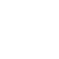 Digital Humanism Institute Academy logo