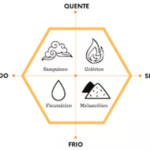 Imagem de capa para o Serviço online Masterclass Os 4 Temperamentos