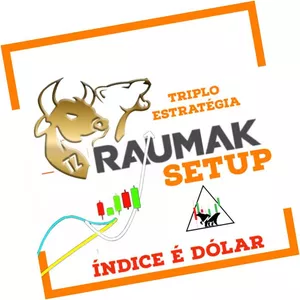 Curso Curso Raumak 1k índice & dólar