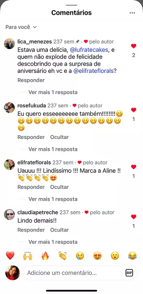 O que as clientes dizem, recomendações e testimonials do Curso Meu Primeiro Zoológico - Modele 25 Animais em Pasta Americana no Instagram