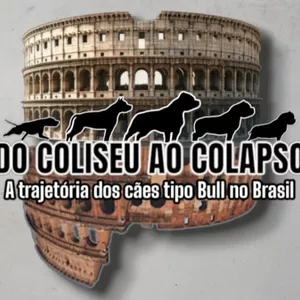 Imagem de capa para o Curso online DOCUMENTARIO DO COLISEU AO COLAPSO 