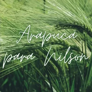 Imagem de capa para o Curso online Arapuca para Nilson