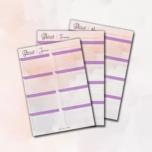 Imagem de capa para o Curso online Planner Semanal Sky