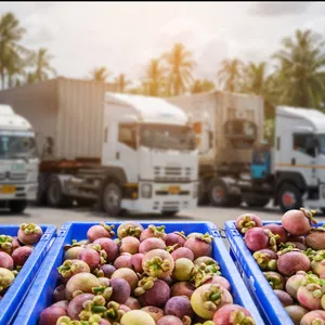 Imagen de portada para Ebook Industria Alimentaria