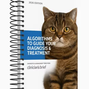 Cover image for Ebook Clinician's Brief Algorithm Collection (2026 edition)  