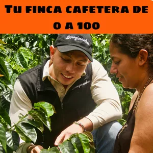 Imagen de portada para Curso online Tu finca cafetera de 0 a 100
