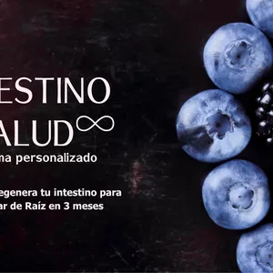 Imagen de portada para Curso online Intestino Salud Infinita