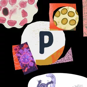 Imagem de capa para o Ebook E-book de Helmintologia