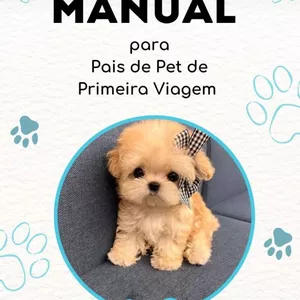 Imagem de capa para o Ebook Manual para Pais de Pet de Primeira 